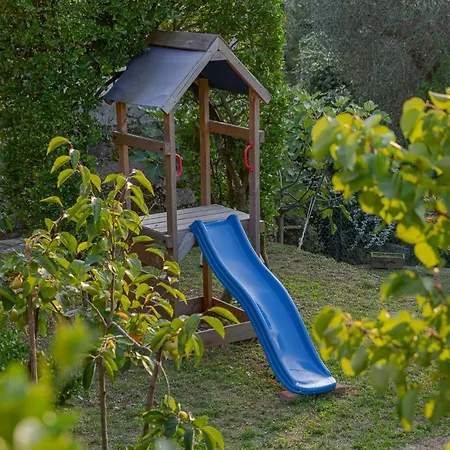 Il Mare Di Nonna Vi レーリチ